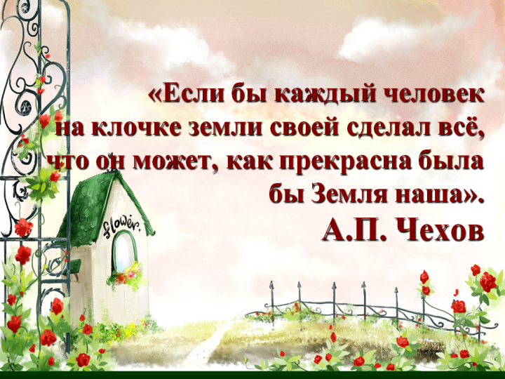 Пришкольный участок в летний период 2018