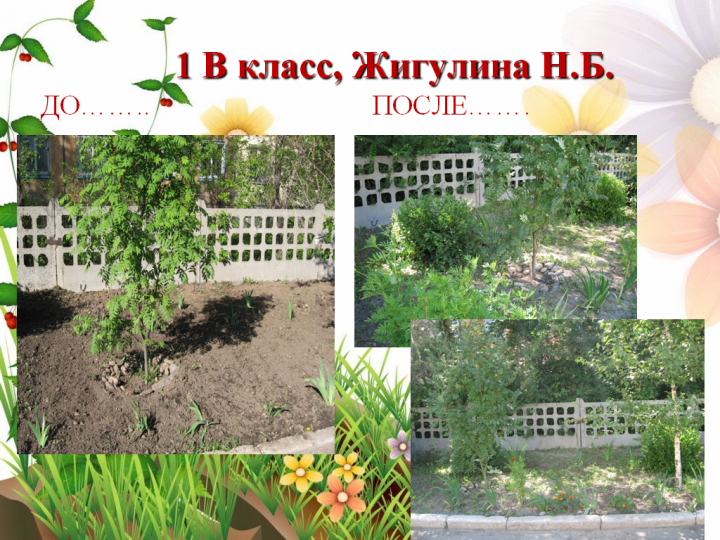 Пришкольный участок в летний период 2018