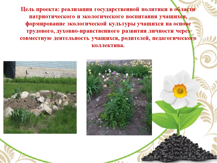 Пришкольный участок в летний период 2018