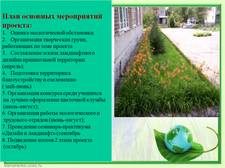 Пришкольный участок в летний период 2018