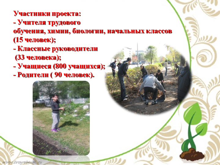 Пришкольный участок в летний период 2018