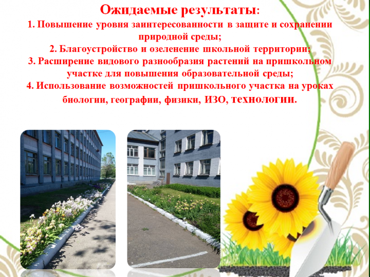 Пришкольный участок в летний период 2018