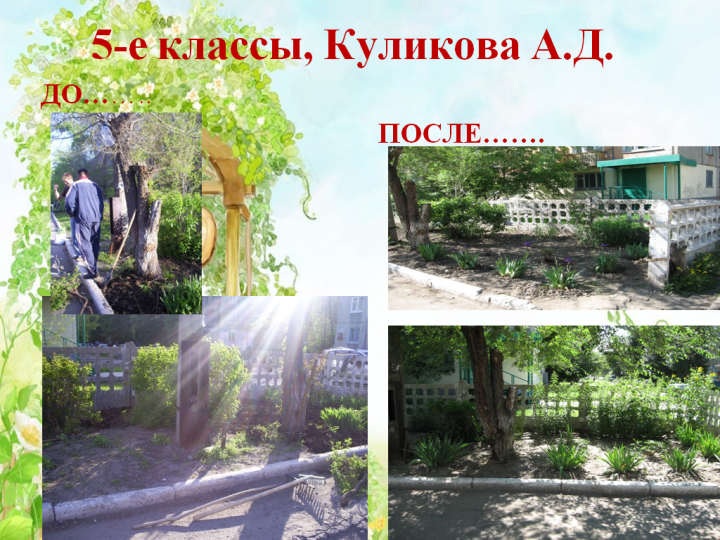 Пришкольный участок в летний период 2018