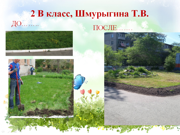 Пришкольный участок в летний период 2018