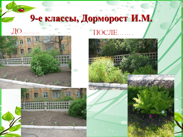 Пришкольный участок в летний период 2018