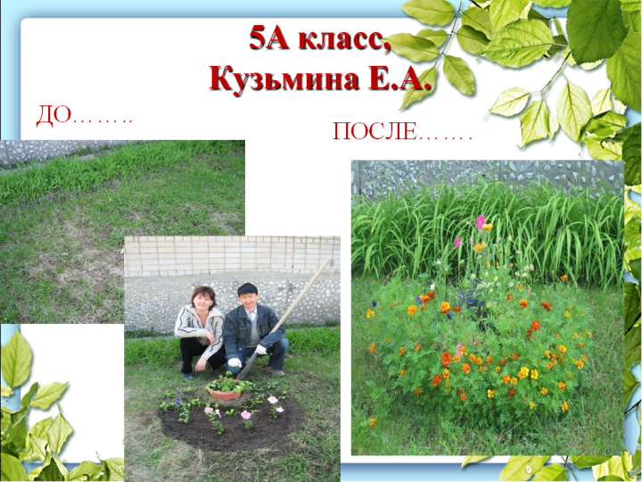 Пришкольный участок в летний период 2018