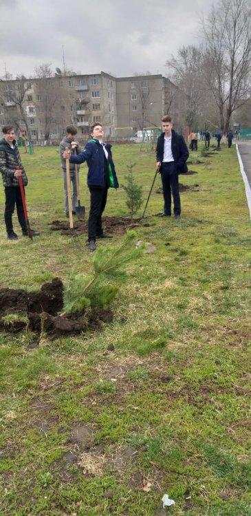 Городская акция по высадке саженцев деревьев "Жас өркен"