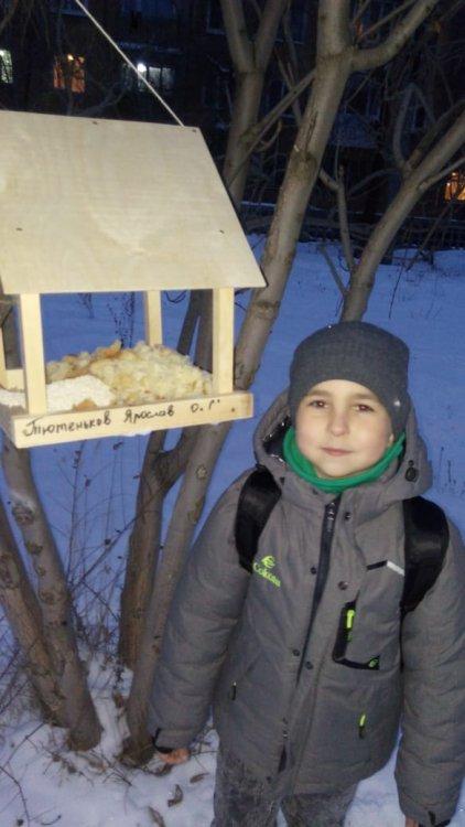 Акция "Покормите птиц зимой"