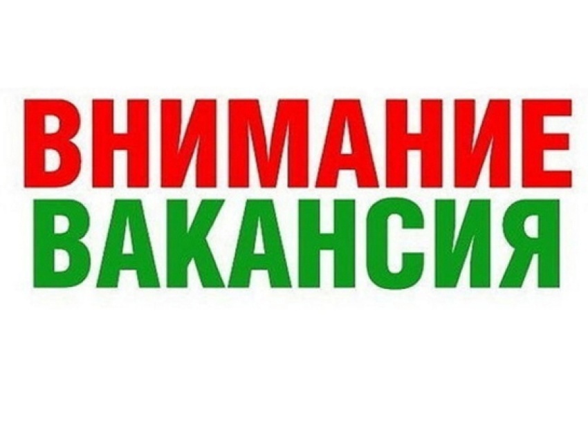 Объявлен конкурс на вакансию